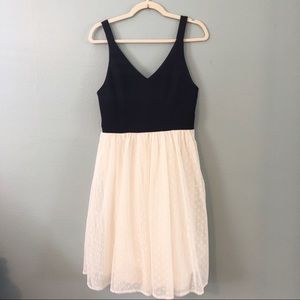 Soiéblu Lace Dress
